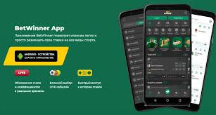 Exploring BetWinner Bookmaker Your Ultimate Guide to Betting